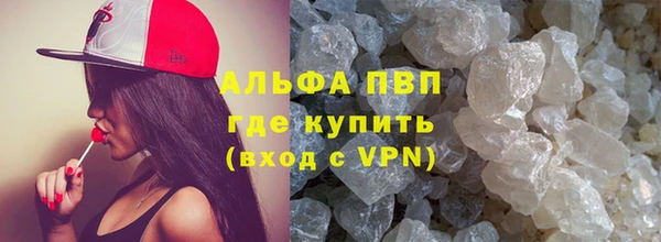 индика Богородицк