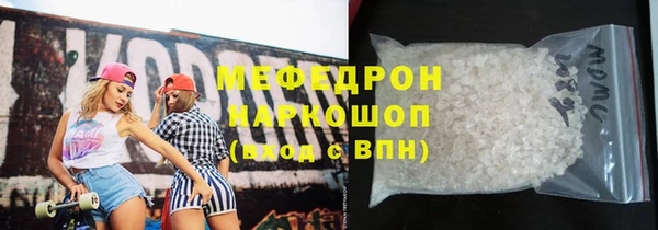 индика Богородицк