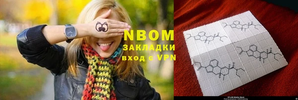 прущие грибы Богданович