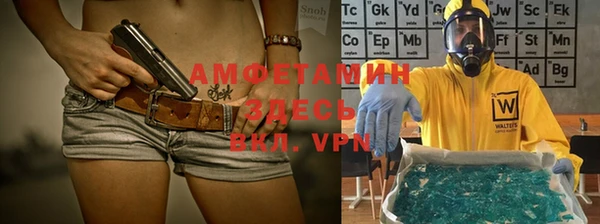 индика Богородицк