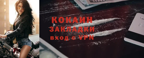 индика Богородицк