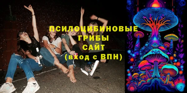 бошки Богородск