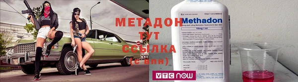 прущие грибы Богданович
