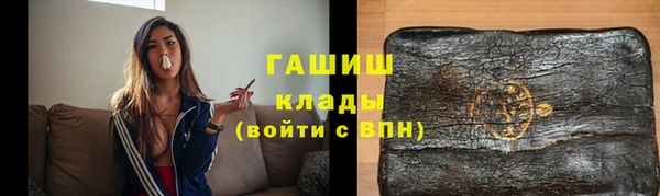индика Богородицк