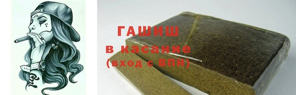 индика Богородицк