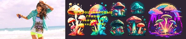 индика Богородицк