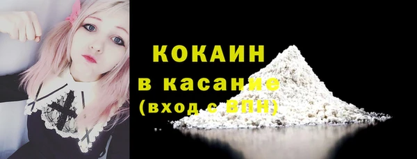 индика Богородицк