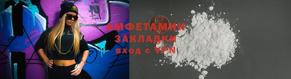 прущие грибы Богданович