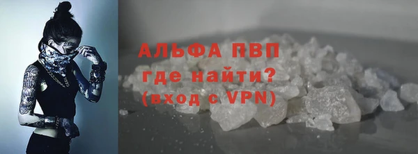 индика Богородицк