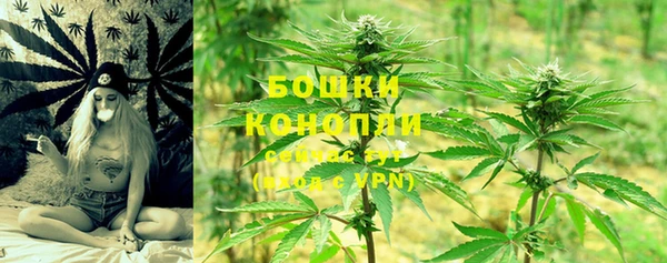 бошки Богородск