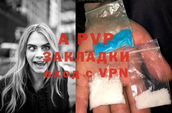 индика Богородицк