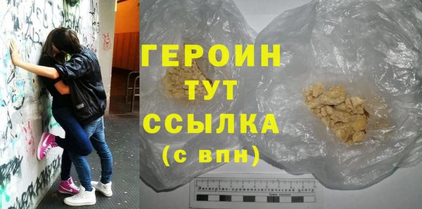 индика Богородицк