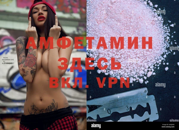 прущие грибы Богданович