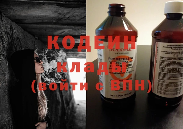 прущие грибы Богданович