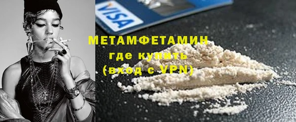прущие грибы Богданович