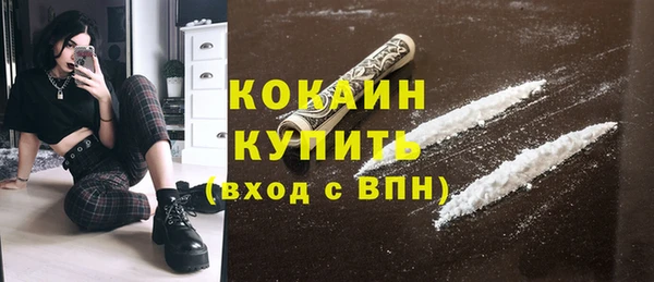 индика Богородицк