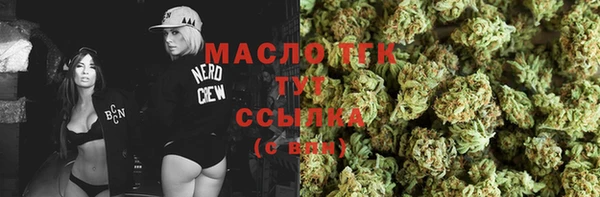 индика Богородицк