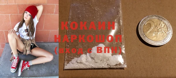 прущие грибы Богданович