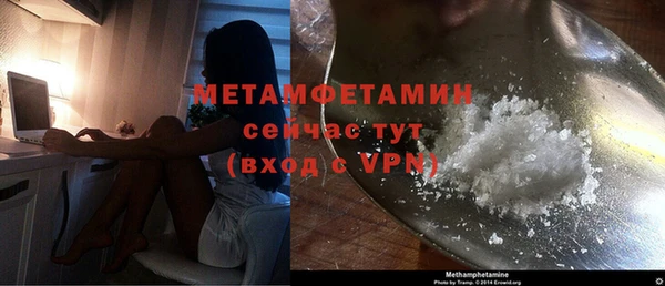 прущие грибы Богданович
