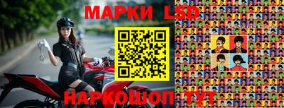 стаф Будённовск
