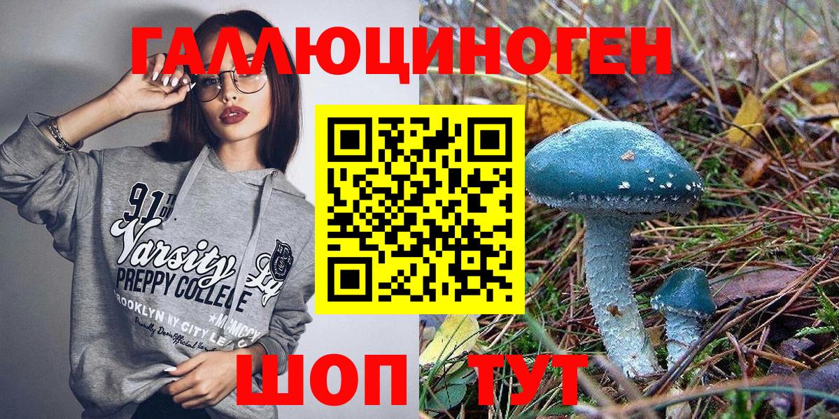 Псилоцибиновые грибы Psilocybe  Галлюциногенные грибы Cubensis  Гай 