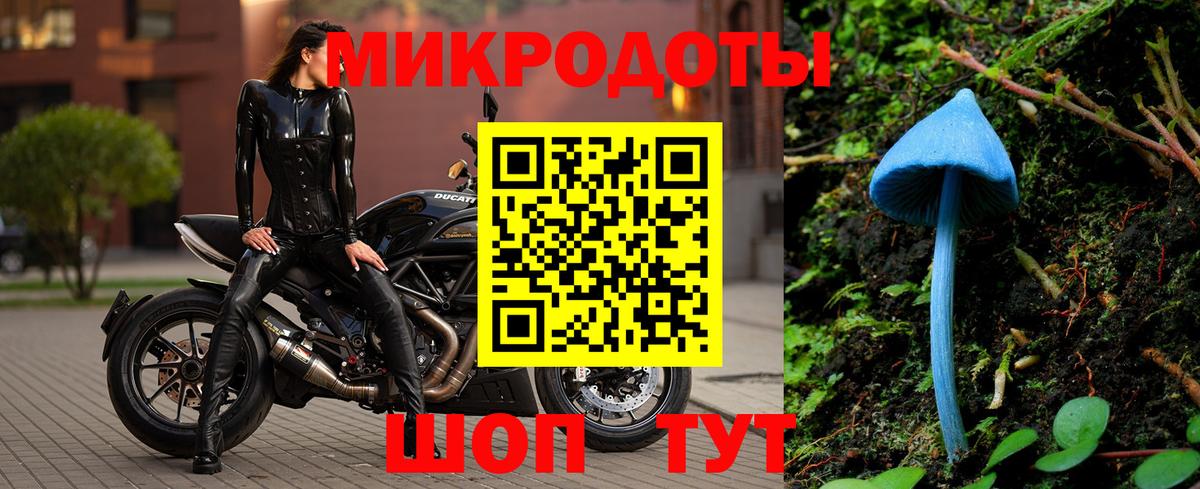Галлюциногенные грибы Psilocybe  Вход с VPN  Гай 